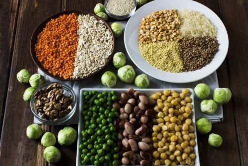 Bitkisel kaynaklı proteinler