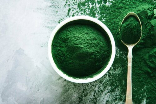 toz spirulina