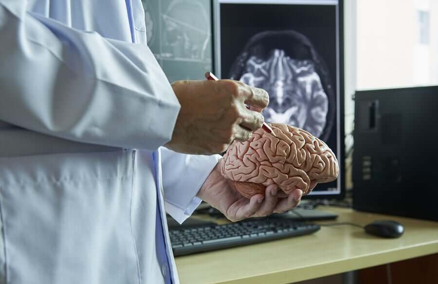 beyni inceleyen bir doktor