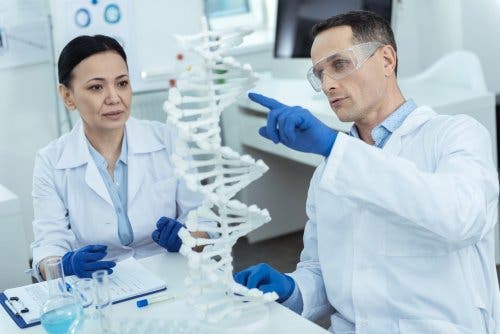 DNA üzerinde çalışan bilim insanları.