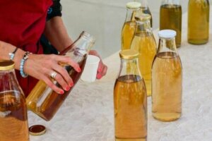 Kombucha Çayı: Özellikleri ve Riskleri