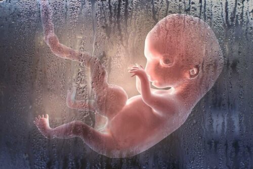 kürtaj indüksiyon fetüs