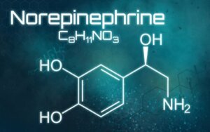 Norepinefrin Nedir, Ne İçin Kullanılır?