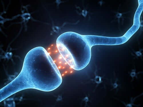 parkinson nöronlar