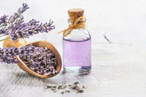 Bilimsel Kanıtlarıyla Birlikte En İyi 6 Tıbbi Bitki