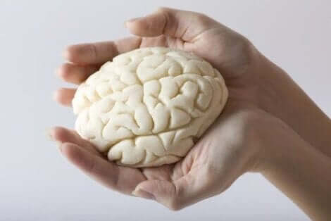 beyin ve akıl sağlığı