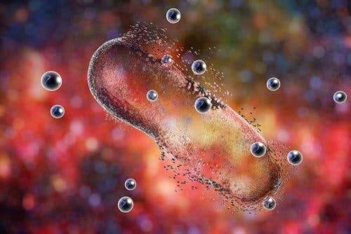 siprofloksasin mekanizma