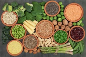 Vegan Diyet İçin Temel Protein Kaynakları