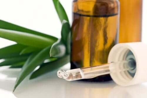 Bir aloe vera damlası.