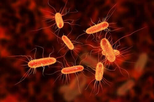 Bir bakteriyel enfeksiyonu temsil eden bir görsel.