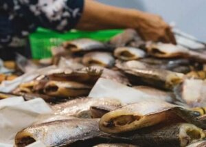 Farklı Balık Zehirlenmesi Türlerinin Belirtileri