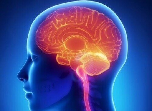 Bir beyin taramasının resmi.