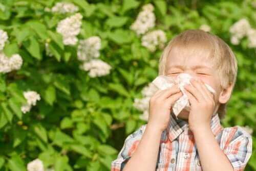 burnunu silen çocuk polen alerjisi