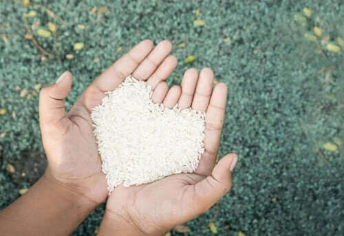 Elinde pirinç tutan bir kişi.