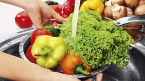 Salata malzemesi yıkayan kişi