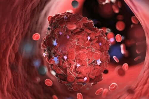 Kan pıhtısının mikroskobik görüntüsü