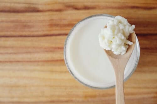 Bir kaşık kefir mayası ve bir bardak kefir.