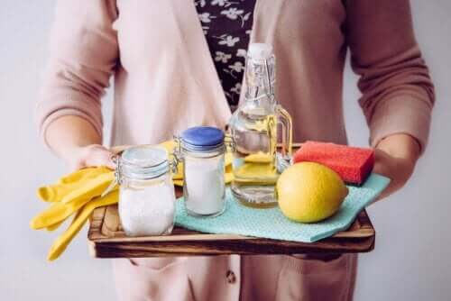 tepsi temizlik ürünleri limon 
