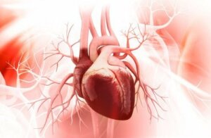 Sağlıklı Bir Kalp İçin 7 İpucu