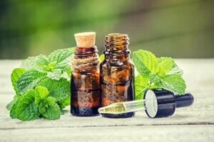 Saçınız İçin Biberiye ve Isırgan Tedavisi