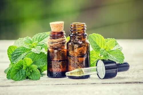 Saçınız İçin Biberiye ve Isırgan Tedavisi