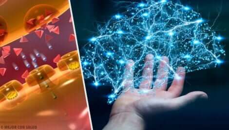 Endorfin salınımı bilimsel gösterimi