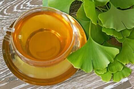 Ginkgo biloba çayı