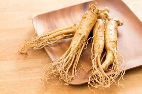 Enerji veren ginseng