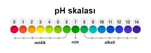 Hangi seviyenin ne anlama geldiğini gösteren ph skalası.