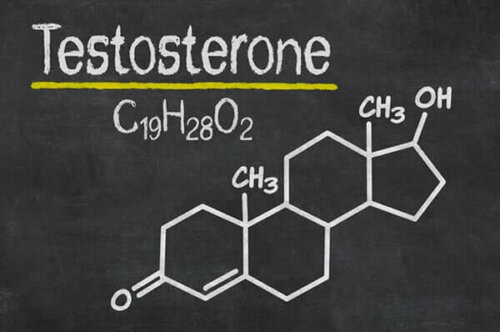 Testosteron hormonunun kara tahtadaki kimyasal formülü