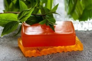 Papaya Sabunu: Özellikleri ve Kontrendikasyonları