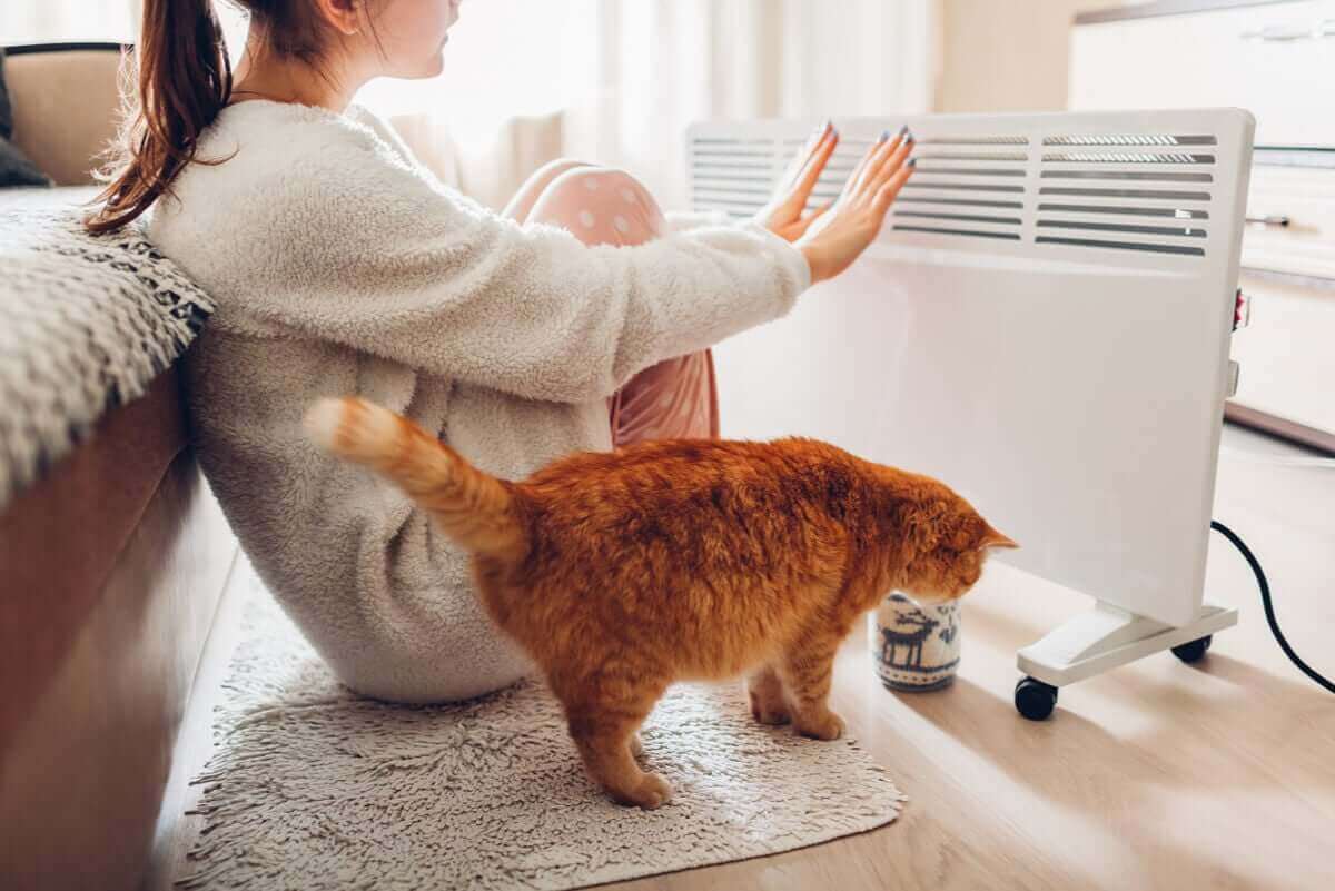 elektrikli kalorifer ile ısınan kedi ve kadın