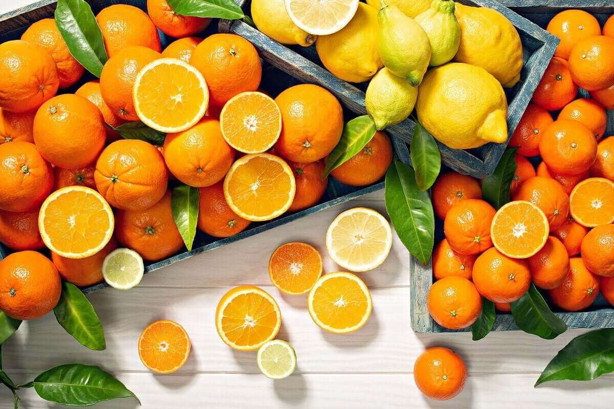 portakal ve limon kasaları