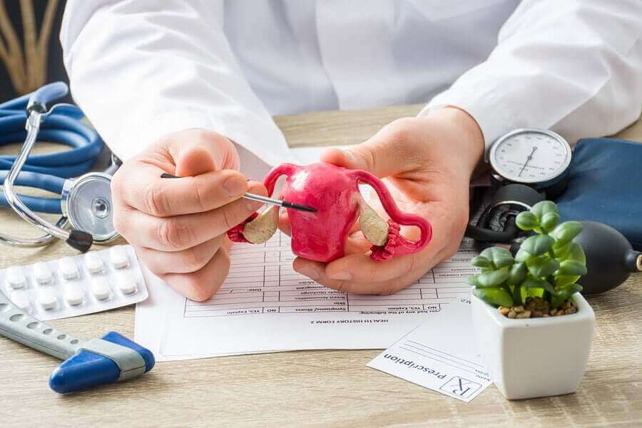 maket üzerinde yumurtalık anlatımı yapan doktor