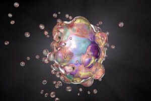 Apoptoz ve Nekroz Arasındaki Farklar