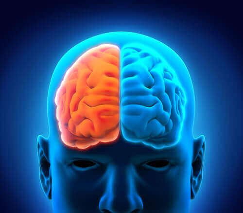 beynin iki tarafı