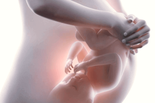 hamile kadın ve karnındaki bebek