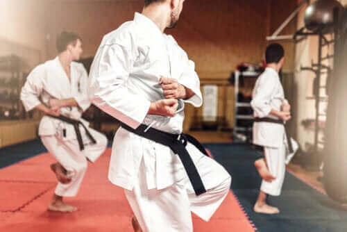 Karate ve Tekvando Arasındaki Farklar