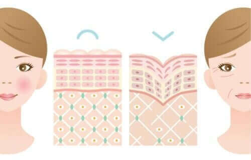 kırışıklık içermeyen ve içeren suratlar