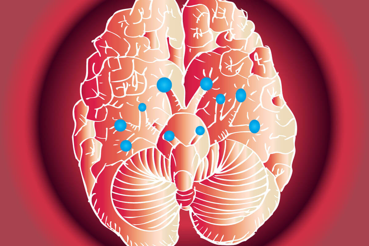 On İki Kranial Sinir ve İşlevleri