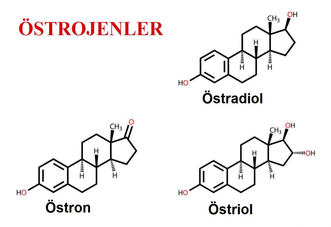 Hormonlar ve Baş Ağrısı Arasındaki Bağlantı