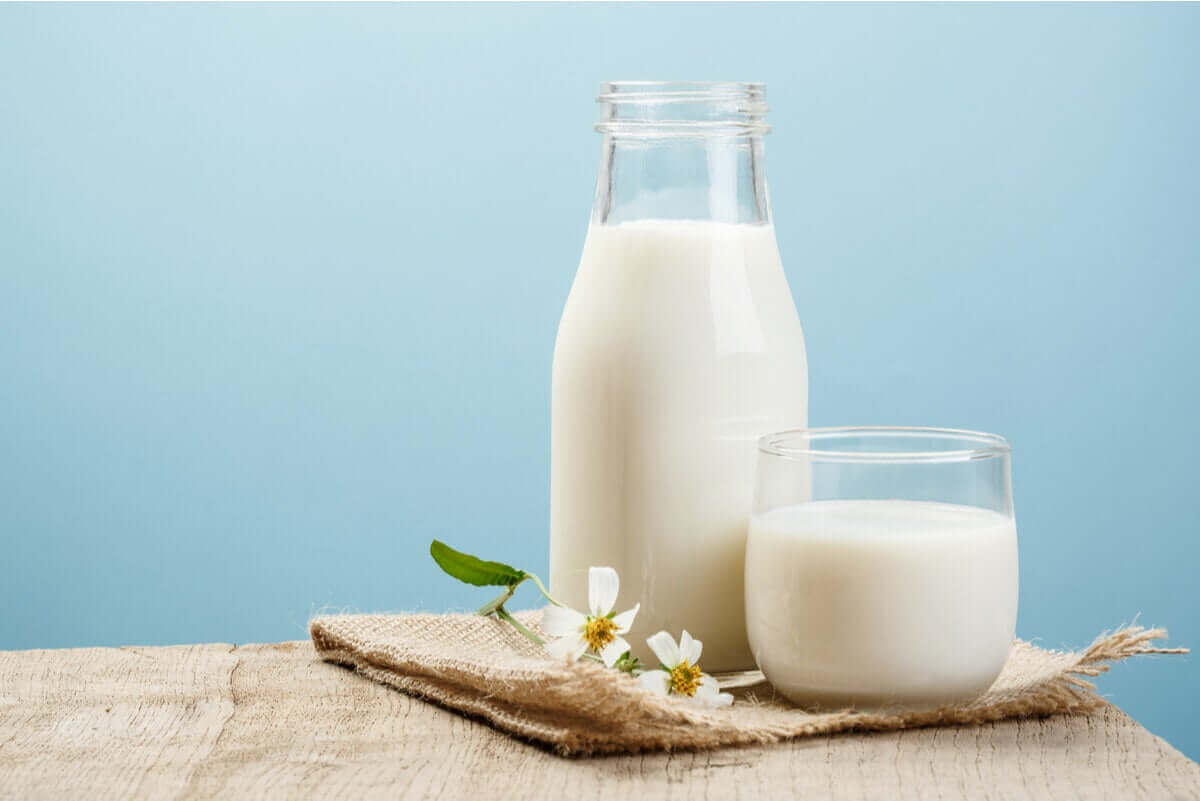 süt sürahini yanında bir bardak süt