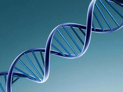 bir DNA sarmalı