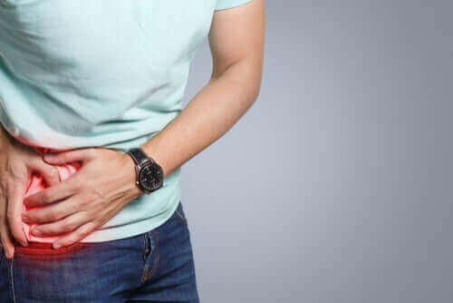 Apendiks: Özellikleri ve İşlevi