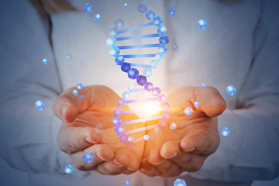 bir avuç dna