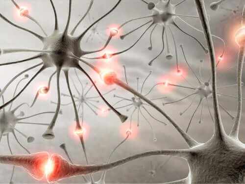 bağlı nöronlar