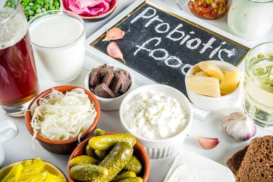 probiyotik gıdalar