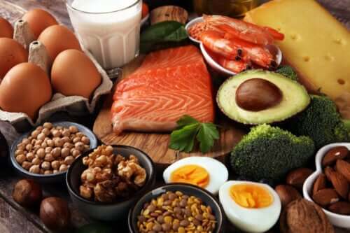 Diyetin Kalitesi ve Diyet Türü