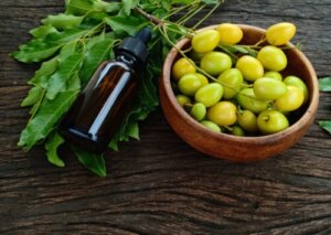 Bahçe Bitkilerinize Bakmak İçin Neem Yağı Nasıl Kullanılır?