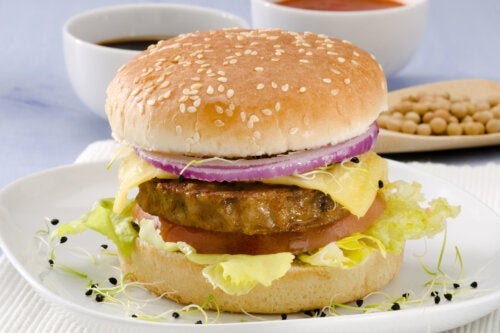 Lezzetli Vegan Soya Burger Tarifi